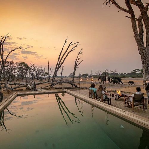The Private Hide Hwange Gallery 4